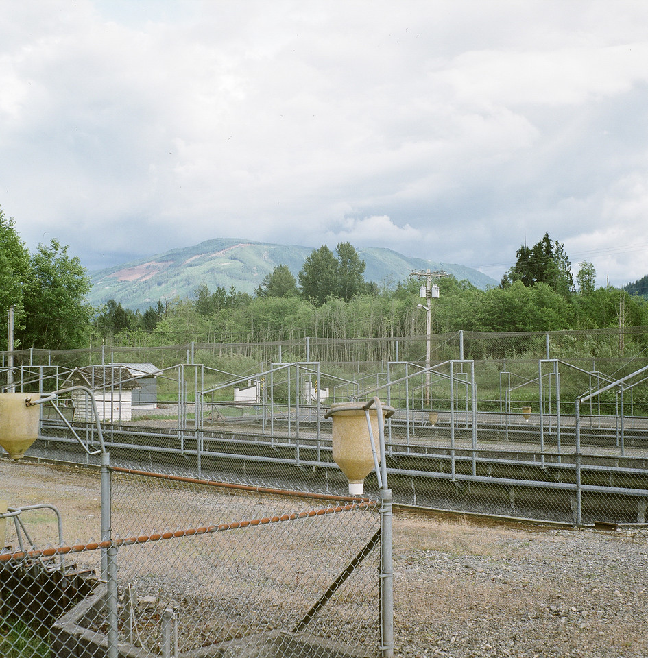 Raceways