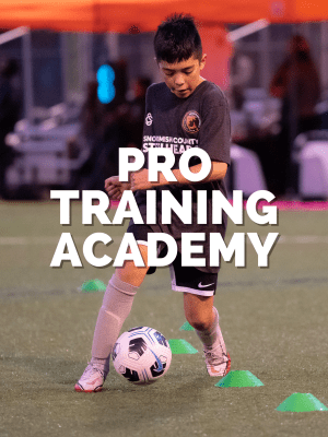 Pro Training Academy